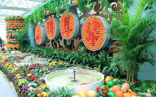 綠色食品展臺(tái)設(shè)計(jì)搭建如何體現(xiàn)食品的新鮮度？